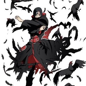 Meet your Posher, Camden